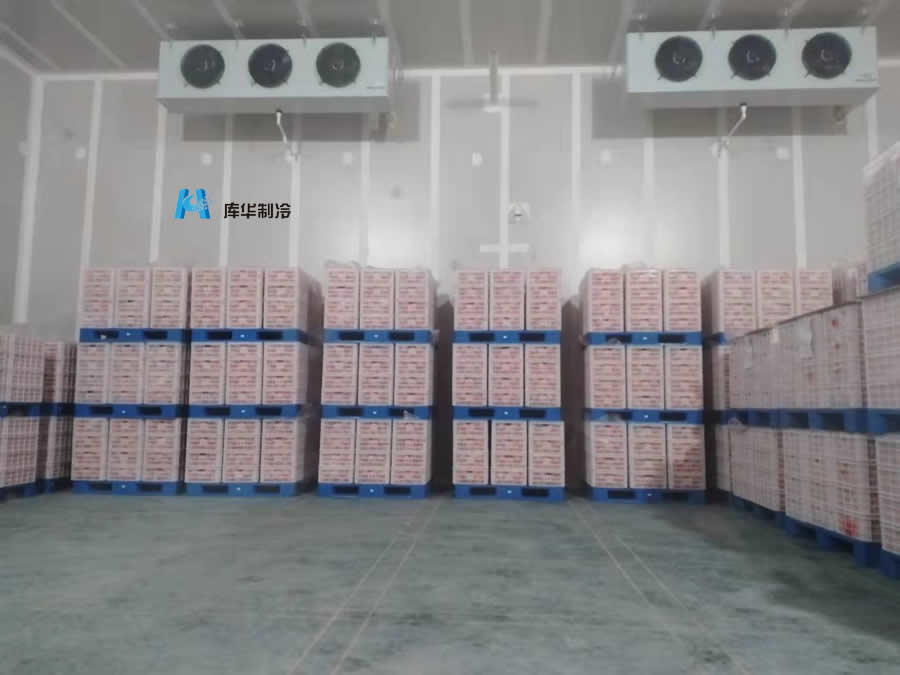 普通保鮮冷庫與氣調冷庫的區(qū)別有哪些？