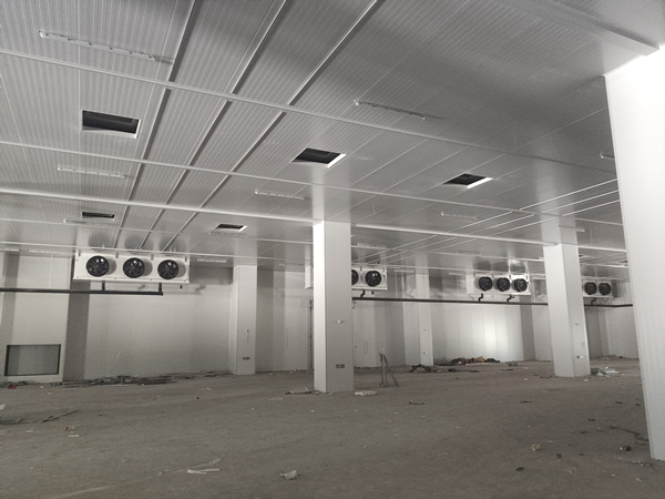 存200噸貨需要多大面積冷庫？造價多少？