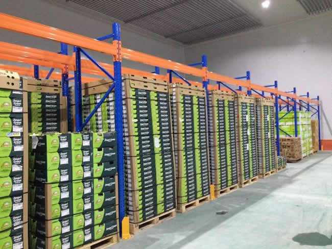 桃、李、杏水果儲(chǔ)存保鮮冷庫(kù)建造及造價(jià)