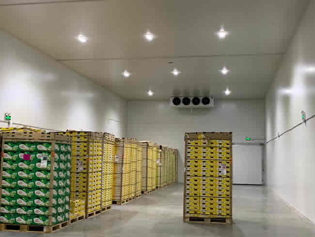 100噸蘋(píng)果保鮮冷庫(kù)造價(jià)需要多少錢