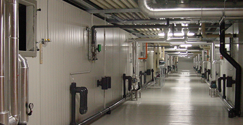 建設一個蔬菜氣調冷庫要多少錢？