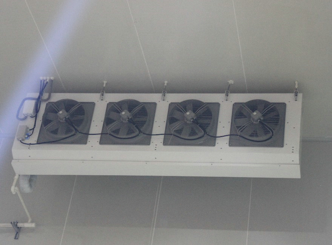 速凍冷庫(kù)安裝