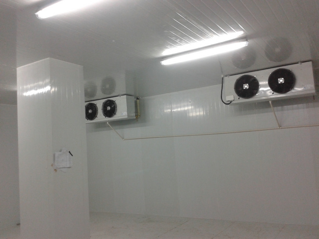 大型水果保鮮冷庫的建造特點(diǎn)