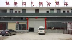 湖北鮮果園水果保鮮大型氣調冷庫設計安裝